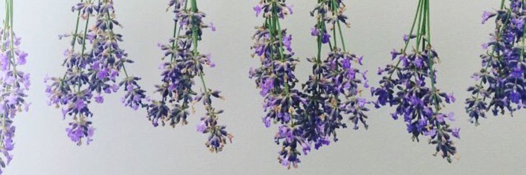 Shannon (she/her) banner