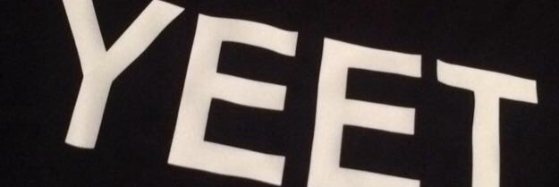 thischicktweets's profile banner image