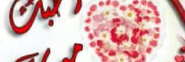 nofel_q8's profile banner image