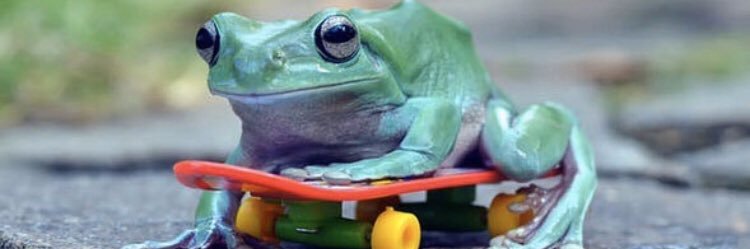 9emraldfrog's profile banner image