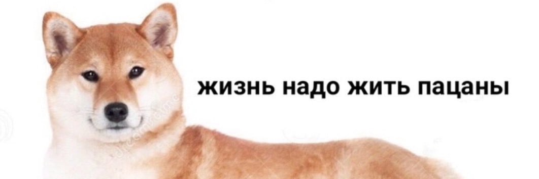 Alex banner