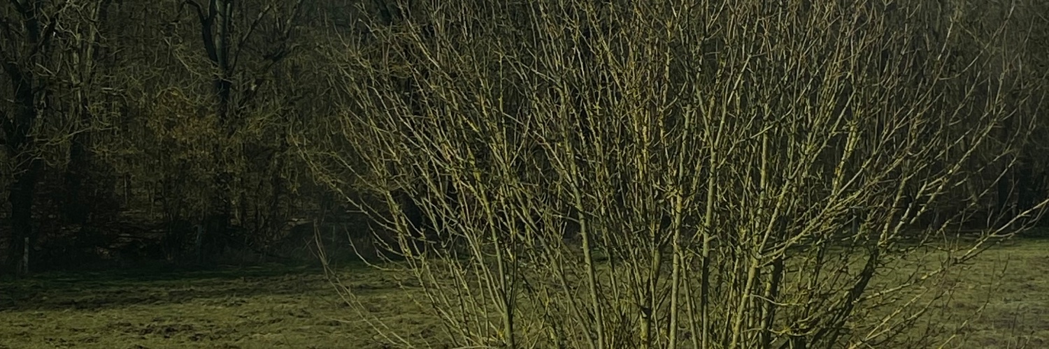A banner