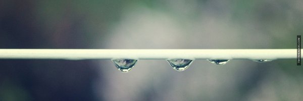 ExeterPAC Profile Banner