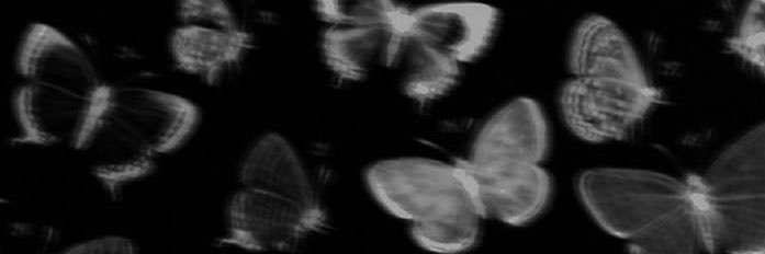 astralheirr's profile banner image