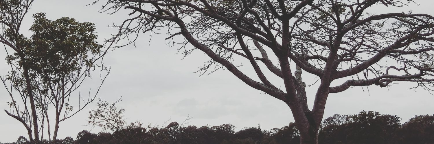 WayneMcPhee's profile banner image