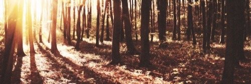 DaveFrancoPL's profile banner image