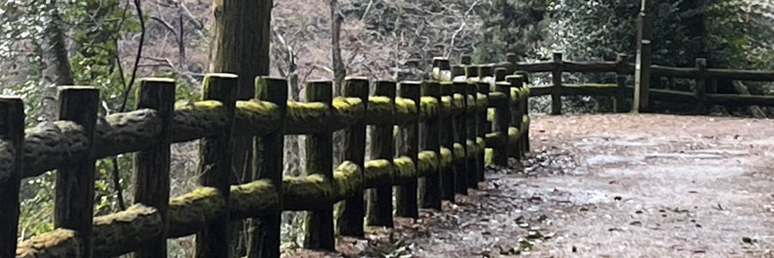 The16take's profile banner image