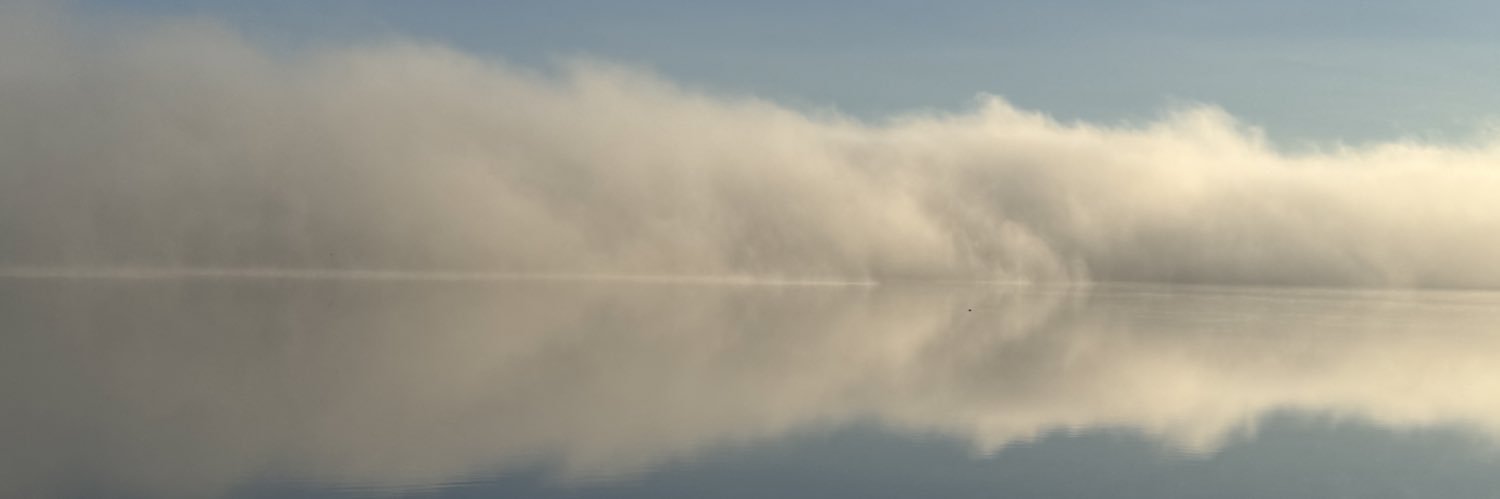 AFavs's profile banner image