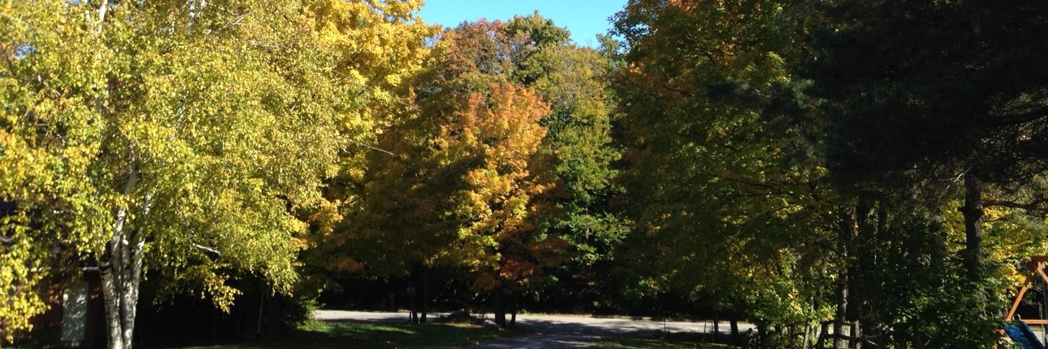 St.Angela Merici CES banner