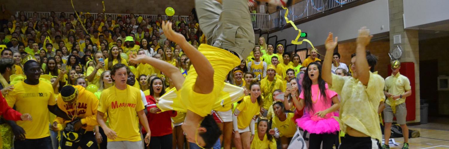 cchsdons2017's profile banner image