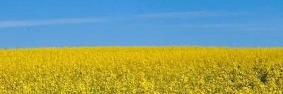 Sapar_off's profile banner image