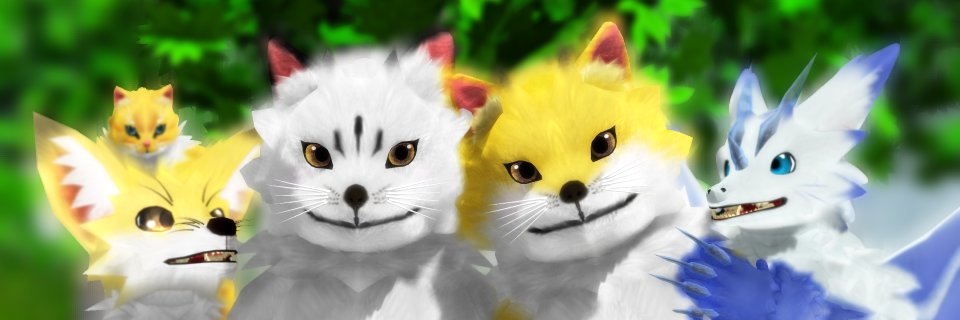 cwwdog's profile banner image