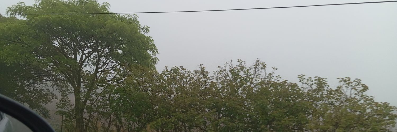 floressanchez56's profile banner image