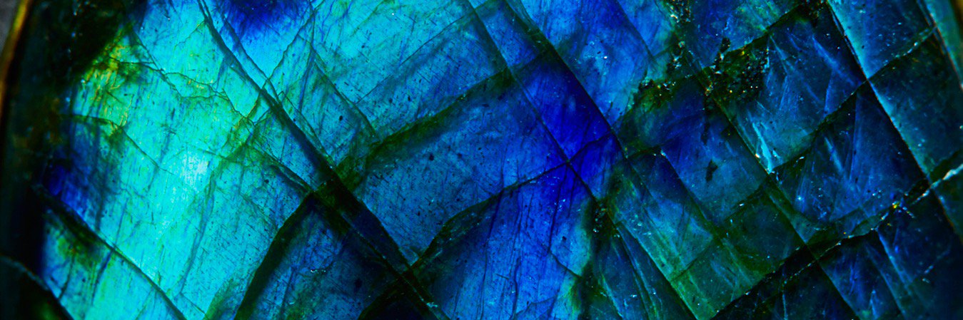 bravelotus_'s profile banner image