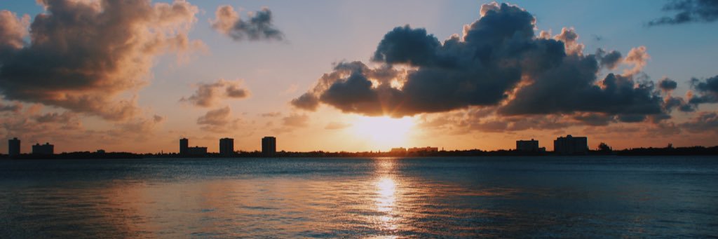 michelleelovic's profile banner image