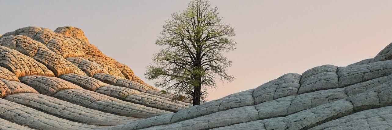 ChinuaCole's profile banner image