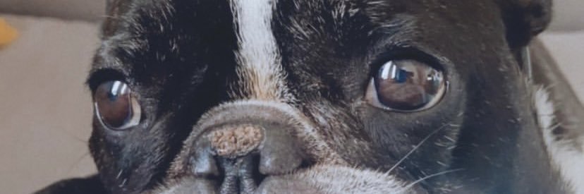 JotaCoca's profile banner image
