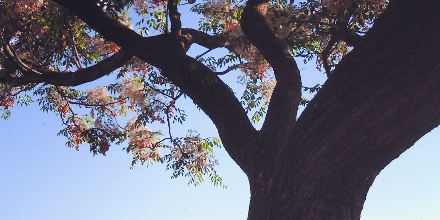 AimeeClarkeSA's profile banner image