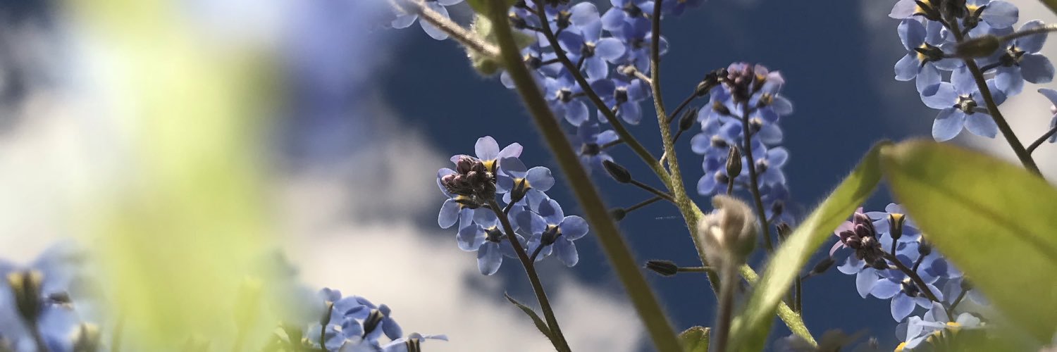 joscott1_jo's profile banner image