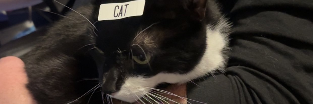 beccagarren's profile banner image