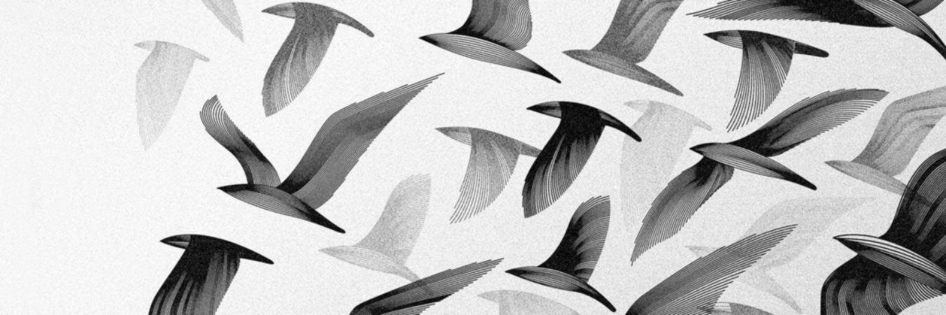 Ay_ella's profile banner image