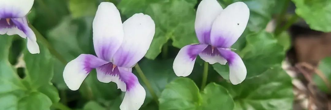 a0913326273's profile banner image