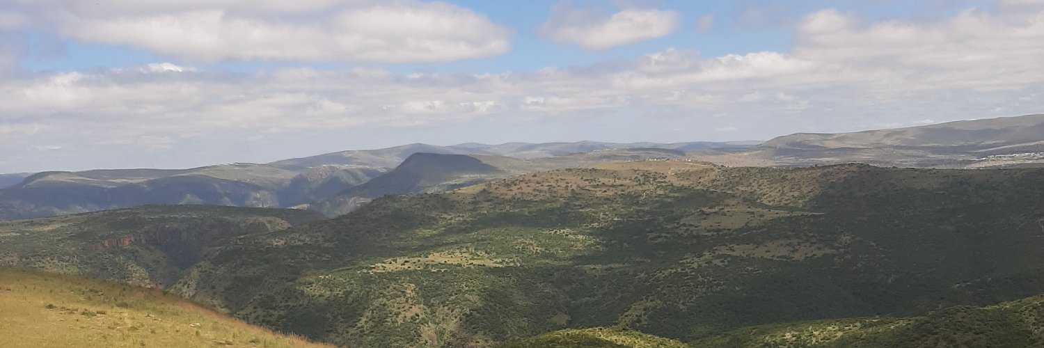 NtshoboUnathi's profile banner image