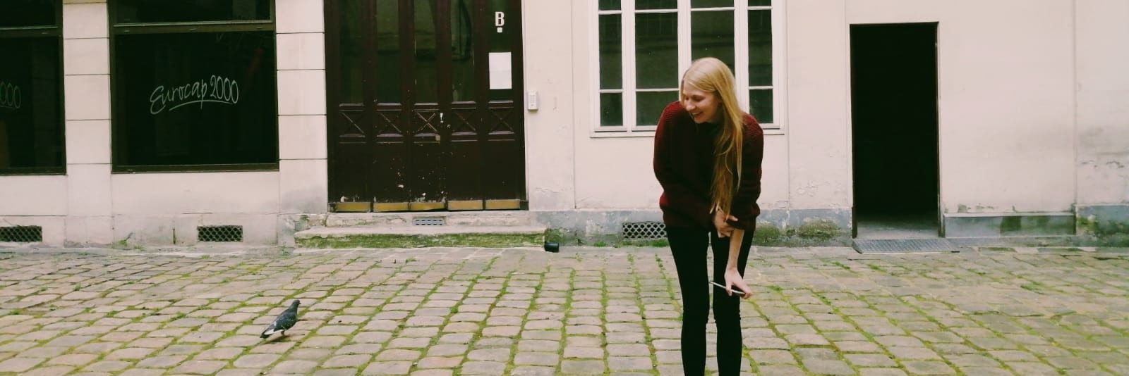 Shib Willoughby banner