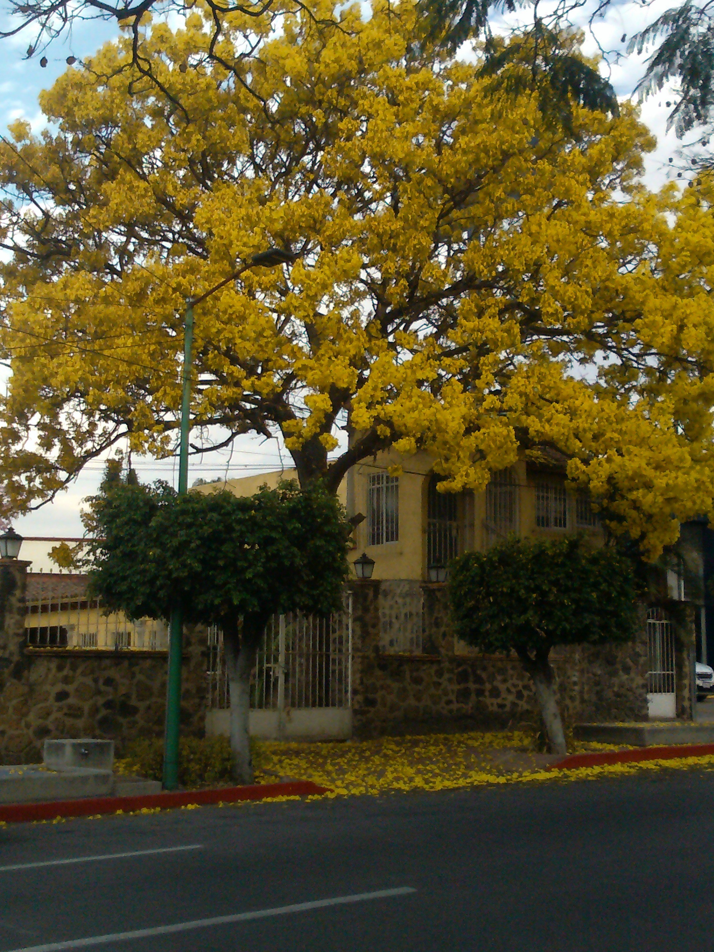 raquelfierro13's profile banner image