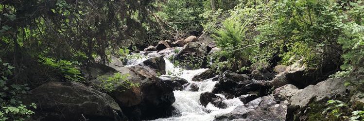 LarrabeeBrayden's profile banner image