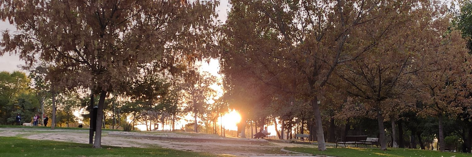 Alioli_madrid's profile banner image