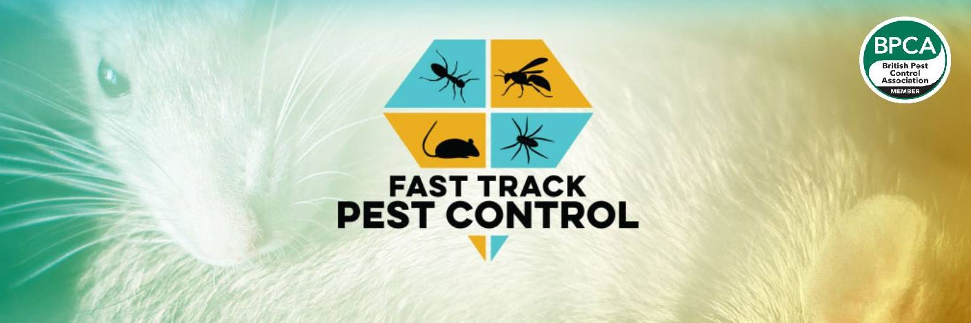 FastTrackPest's profile banner image