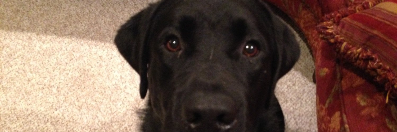 Social_Stan's profile banner image
