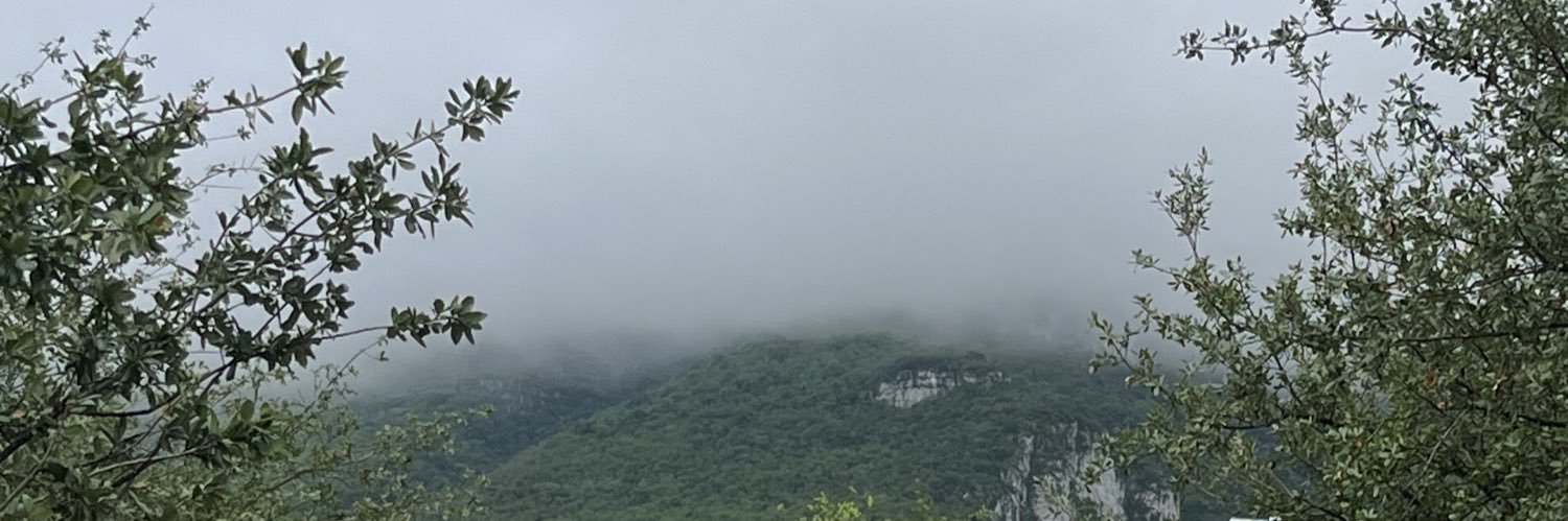 matecuapetla's profile banner image