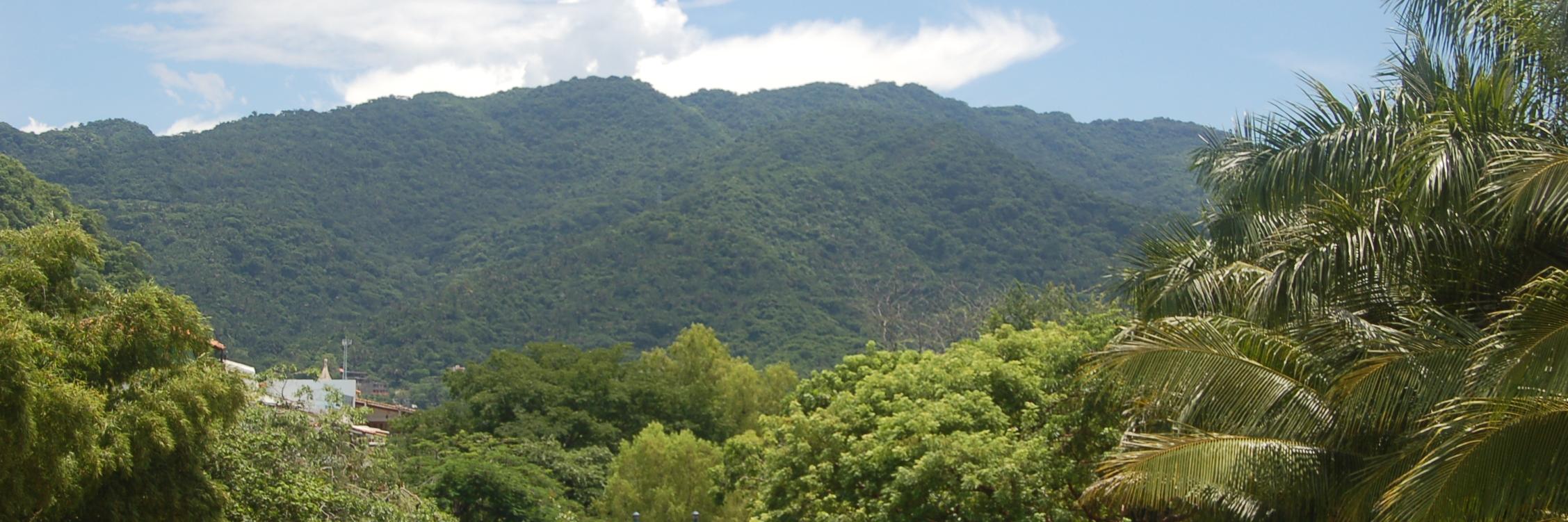 Cory Fournier banner