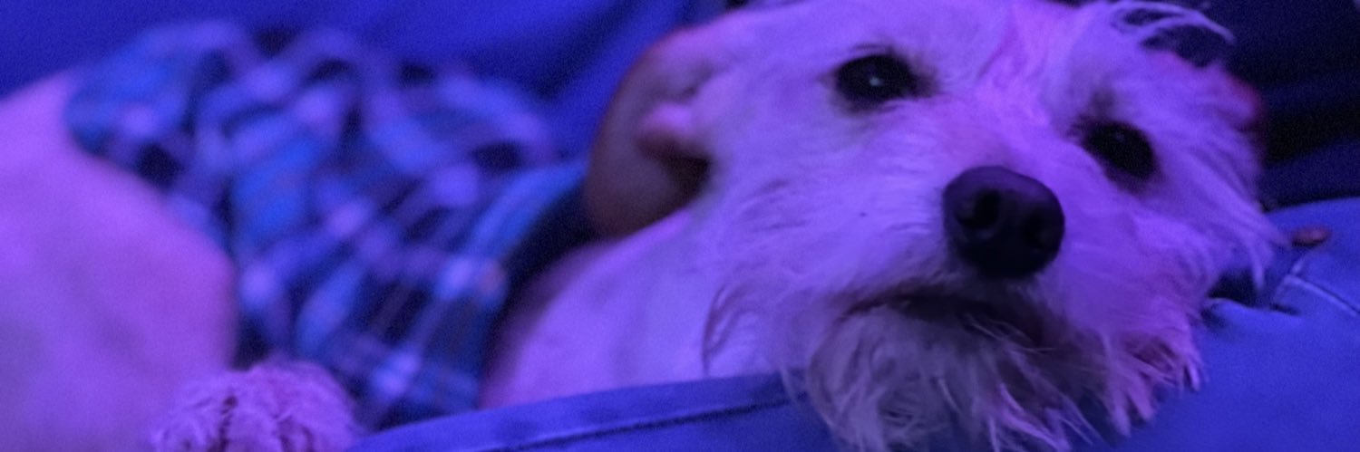 puticoscx's profile banner image