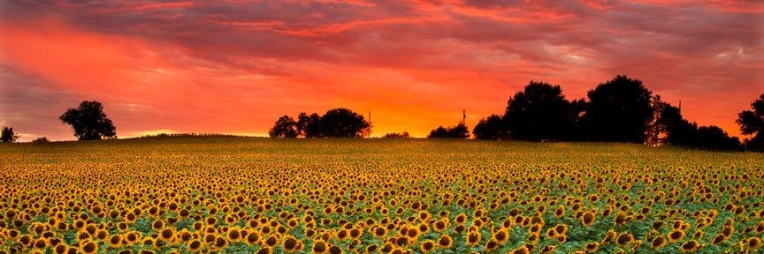 jmf9527's profile banner image