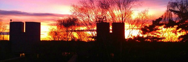 linneahawkings Profile Banner