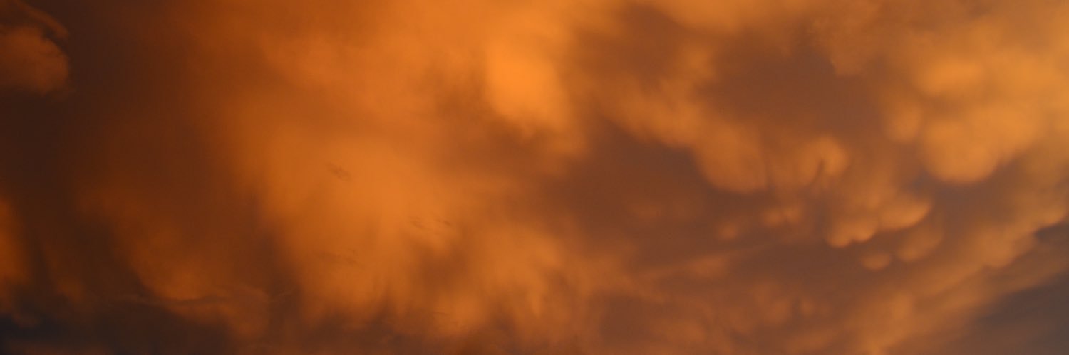 cjwhidd's profile banner image