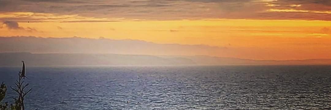 Russwills's profile banner image