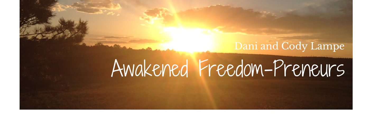dani_lampe's profile banner image