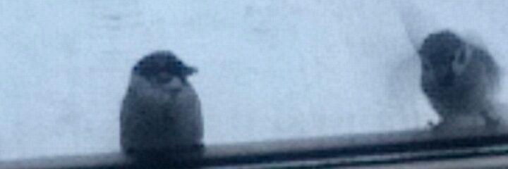 dhkchk's profile banner image