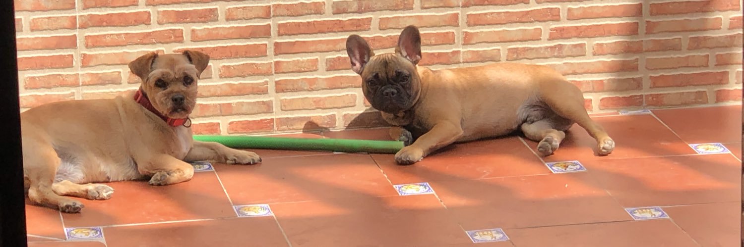 NoeAsencio's profile banner image