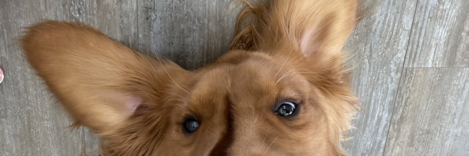 Katiedoblado's profile banner image