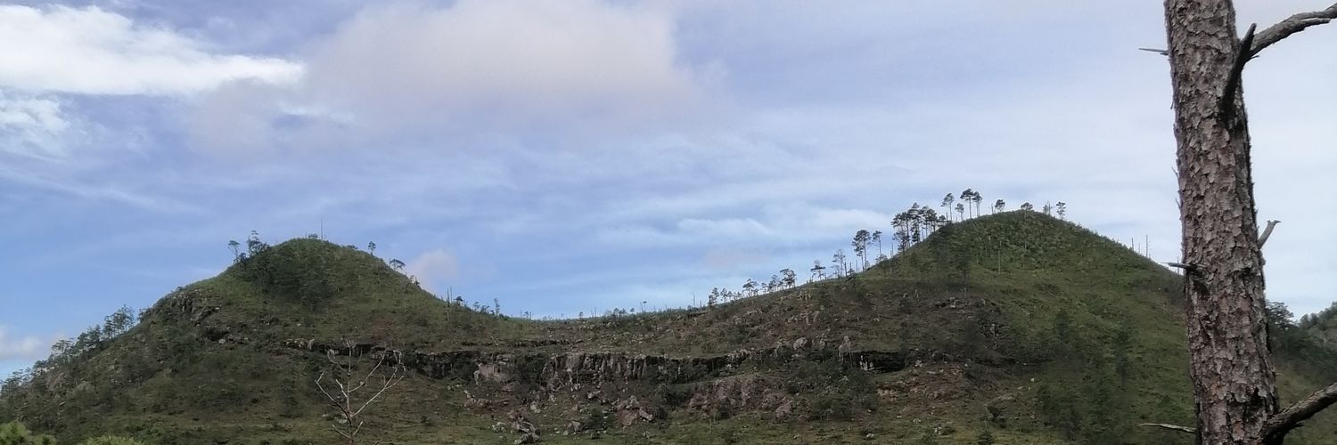 rolofloresvega's profile banner image