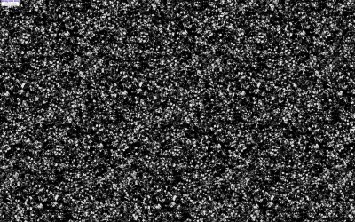 cholachico277's profile banner image