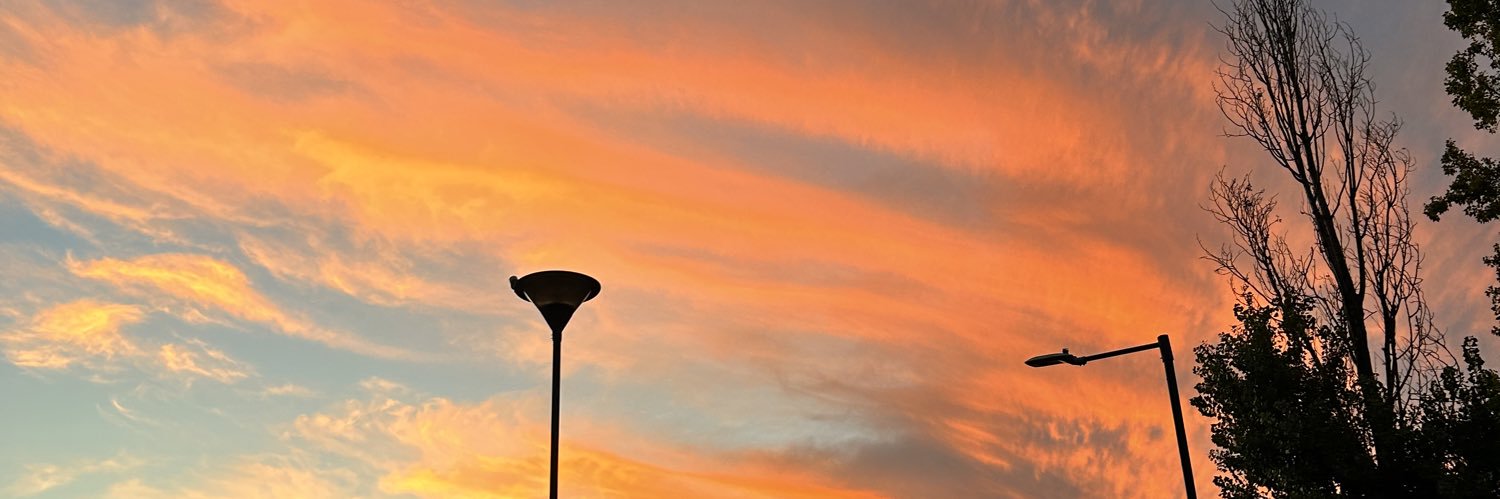 lemmejuli's profile banner image