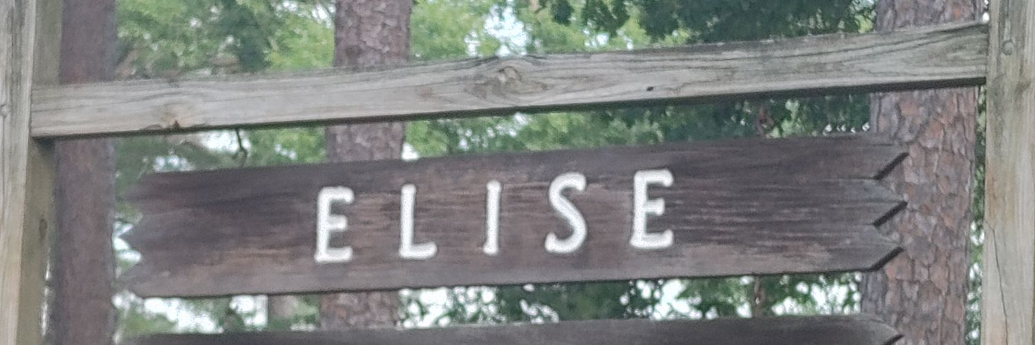 Ashley Priest banner