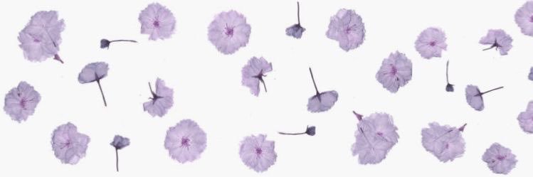 Criis_Pao's profile banner image