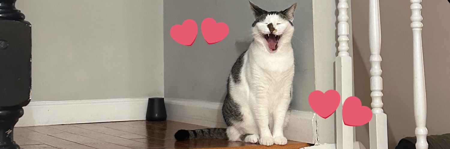 mrilynx's profile banner image